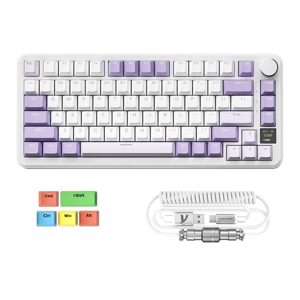 Lawenda (z kablem C01PRO) / Blueberry Switch (liniowy)